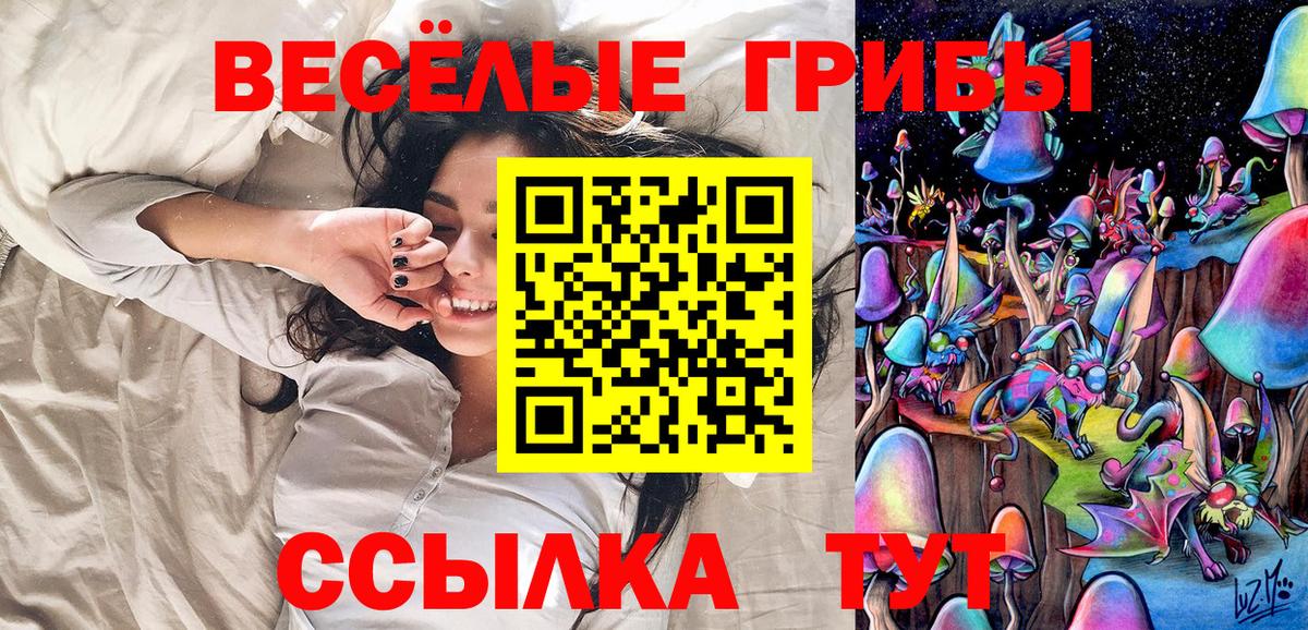 Галлюциногенные грибы Psilocybe  Галлюциногенные грибы мухоморы  Великий Новгород  Вход с VPN 